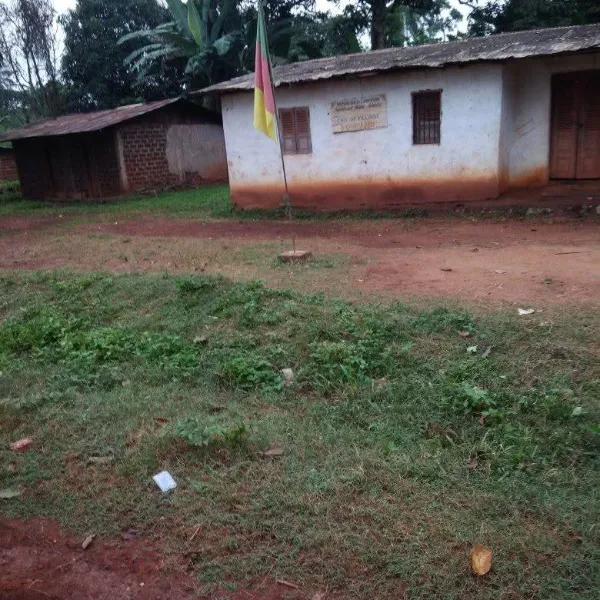 Terrain titré et loti de 5 000 m² à vendre à Nkolmeyang