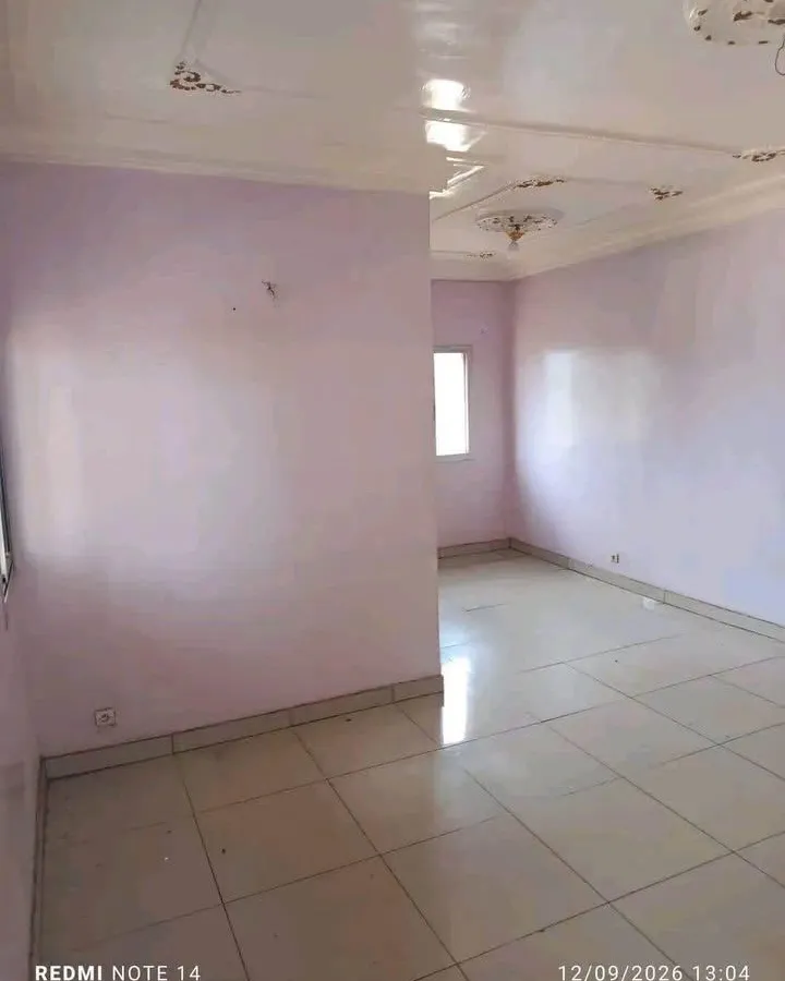 Appartement moderne 2 chambres à louer à Olembe