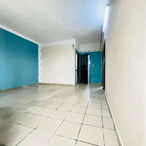 Magnifique appartement moderne 2 chambres à louer à Ndogbong Collège Dauphine