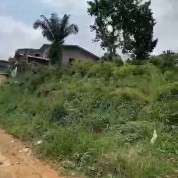 Terrain à vendre à Logbessou