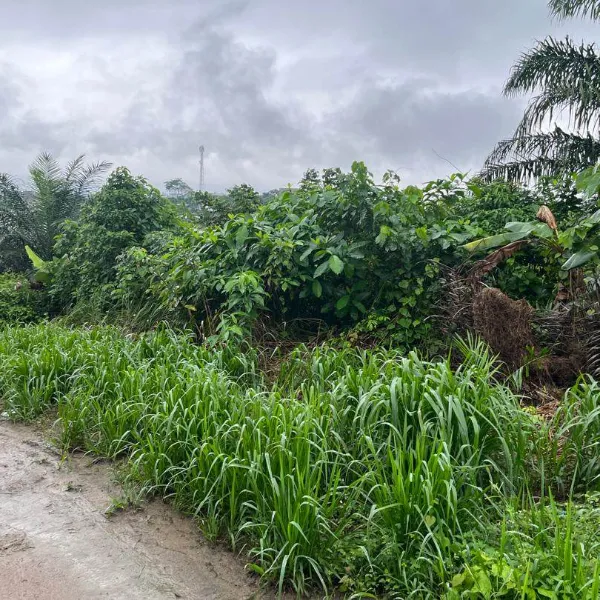 Terrain résidentiel de 280 m² à vendre à Japoma Porte Fermée