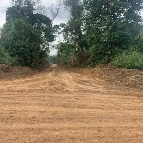 Terrain titré à vendre à Ntouessong – Route Soa-Esse