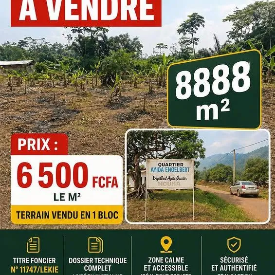 Terrain de 8 888 m² à vendre à Nouma Nkolbisson
