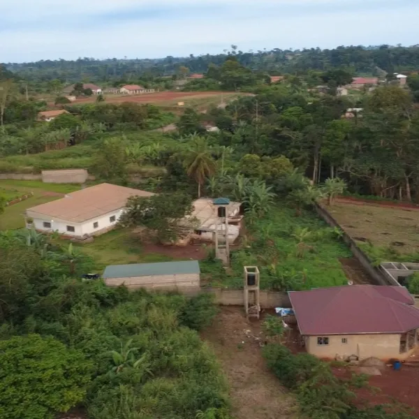 Terrain titré de 500 m² à vendre à Ahala, lieu-dit Afanoyo