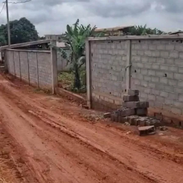 Terrain titré et loti de 1 000 m² à vendre à Soa