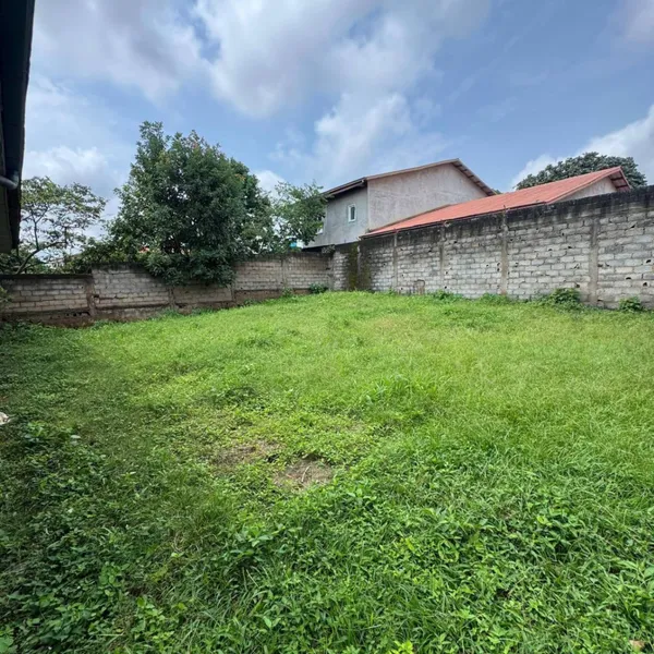 Terrain clôturé de 650 m² à vendre à Odza Borne 10