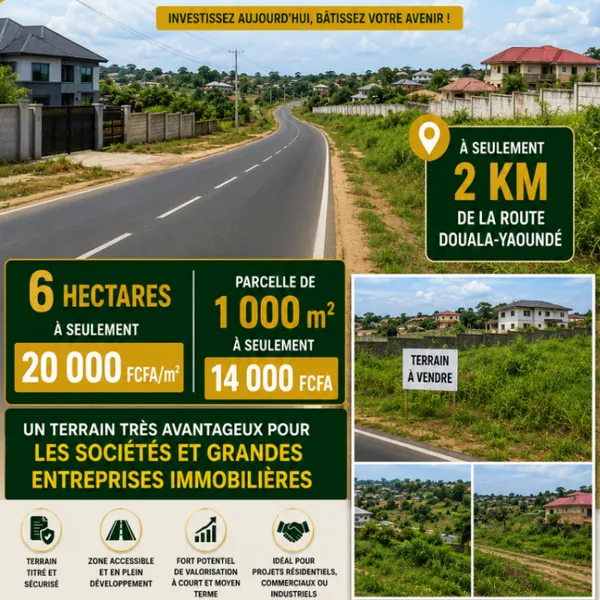 terrain  titré a vendre 1000m² au lieu dit Mbankomo
