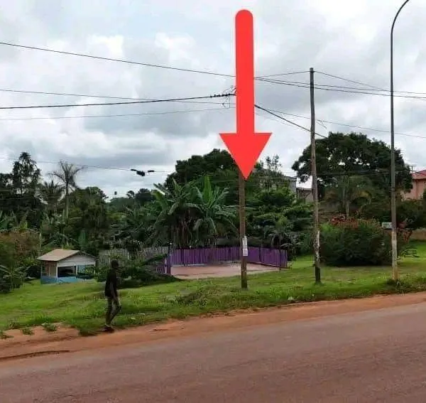 Terrain commercial titré de 1 000 m² à vendre à Nkolnda
