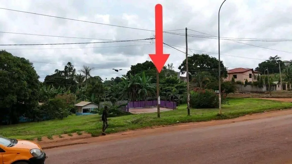 Terrain commercial titré de 1 000 m² à vendre à Nkolnda